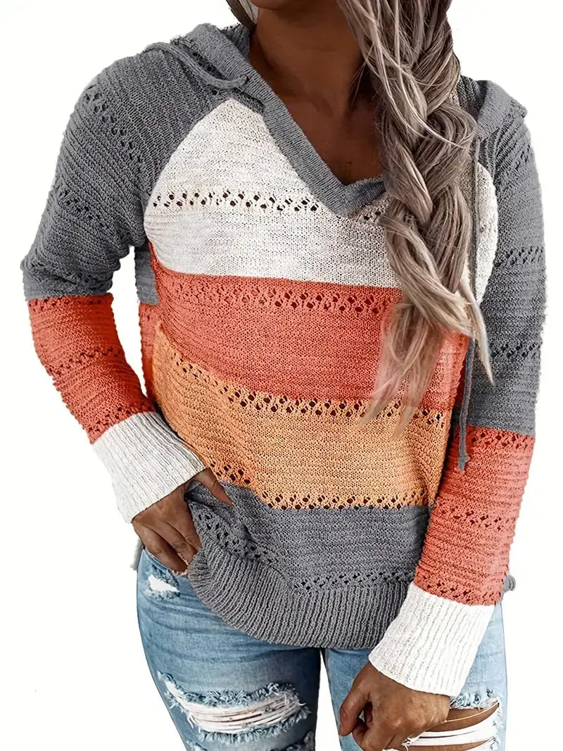 Plus Size Colorblock Eyelet Embroidered Hoodie