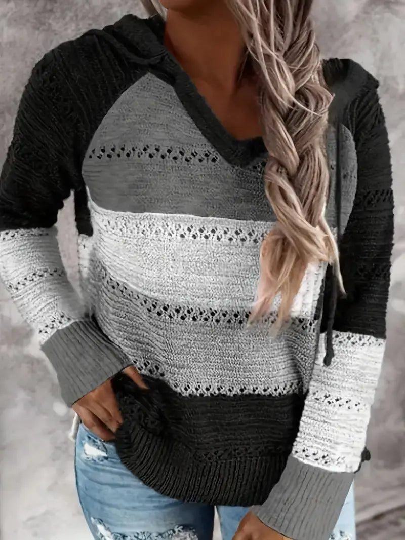 Plus Size Colorblock Eyelet Embroidered Hoodie